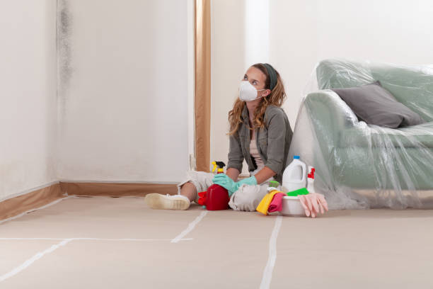 Reliable Mold Remediation contractor in Takoma Park, MD by Mold Remediation HQ